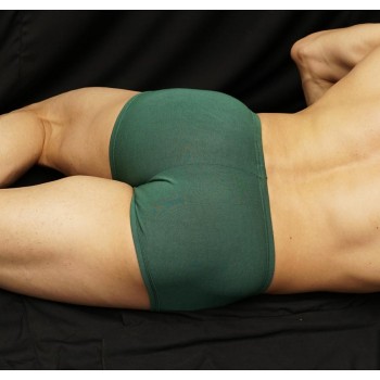 Boxer de Viscosa Verde para Hombre. Paquetón y para los no tanto.